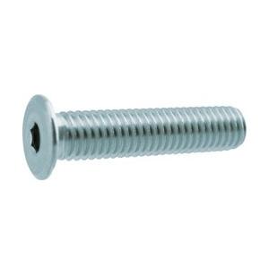 トラスコ中山 TRUSCO　超低頭SUSキャップボルト　M3X6　8本 Y3110306 【864】