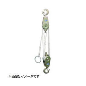 スリーエッチ ＨＨＨ　ロープホイスト　２５０ｋｇ　揚程３ｍ   RH250