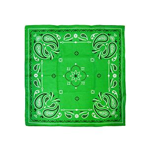 BCL bcl バンビニバッグ グリーン×グレー