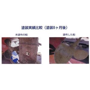 ●1番重要な上塗剤100g大容量●新ペラコート...の詳細画像2