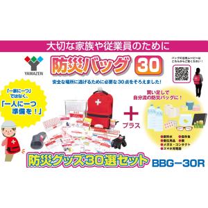 新品 山善 防災バッグ30 YBG-30R 30点入 2個セット 防災バッグ 防災士監修 1人用 YBG-30/YBG-30BB/YCB-10R 山善