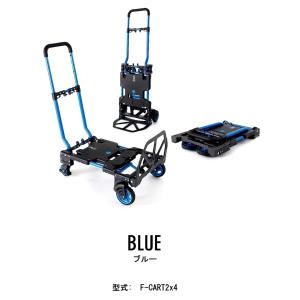 ●正規品●花岡車両 ビームスの百名品 F-CA...の詳細画像1