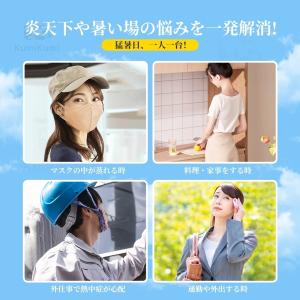 ネッククーラー 首掛け 3つ冷却プレート 60...の詳細画像2