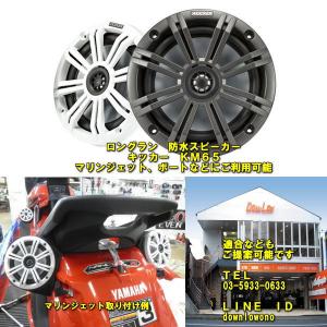 ヤマハ　YAMAHA FXシリーズ　スピーカーボックス　スピーカーマウント YAMAHA FX専用 FRPスピーカーBOX （2012y〜2018y対応