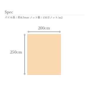 カーペット 200×250cm 長方形 150...の詳細画像5