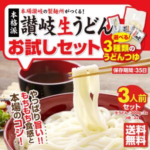 セール⇒698円 お試しセット うどん 讃岐うどん 香川県 つゆ付き 3人前 生麺 お取り寄せ 3食 3種類のつゆ 旨い もちもち お土産 送料無料 ポイント消化 送料無料｜y-tabeppuriya