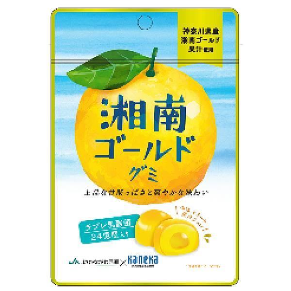 グミ 乳酸菌入り 湘南ゴールドグミ カネカ食品 美味しい スッキリ 甘酸っぱさ さわやかな味わい 果...