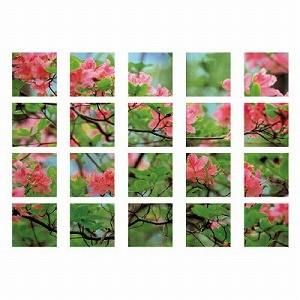 917-07 マルチシート 仮囲い イメージアップ用品 ビューティフル・アザレア ユニット UNIT