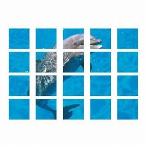 917-10 マルチシート 仮囲い イメージアップ用品 フィーリング・タイム ユニット UNIT