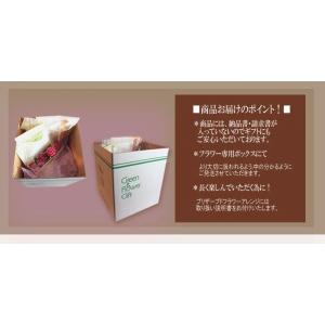 花 プレゼント 誕生日 ギフト 送料無料 フラ...の詳細画像4