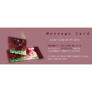 花 プレゼント 誕生日 ギフト 送料無料 フラ...の詳細画像5