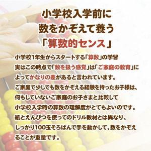 【マニュアル付】トモエそろばん 100玉そろば...の詳細画像1