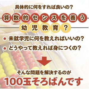 【マニュアル付】トモエそろばん 100玉そろば...の詳細画像2