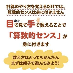 【マニュアル付】トモエそろばん 100玉そろば...の詳細画像4