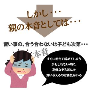 【送料無料】トモエそろばん 23桁 樺玉 ケー...の詳細画像3