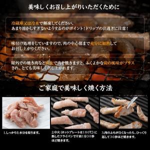 工場直送!北海道で人気の「塩ホルモン専門店 炭...の詳細画像3