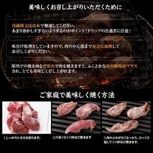 工場直送!北海道で人気の「塩ホルモン専門店 炭...の詳細画像4