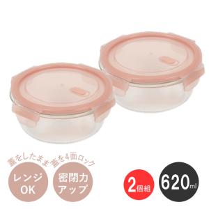 保存容器 480ml 2個組 耐熱ガラス 電子レンジ オーブン 食洗機 冷蔵