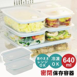 保存容器 280ml 2個 セット プラスチック 密閉 耐熱 日本製 電子レンジ