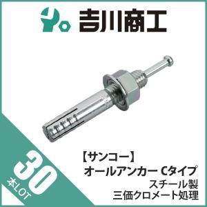 ステンオールアンカー１６１２（１８本） ステンオールアンカー1612（18本） サンコーテクノ オール