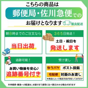 野球 グッズ 雑貨 プレゼント イベント 卒業...の詳細画像5
