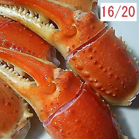 安心安全の国内加工 粒揃いのズワイ蟹爪1kg ビッグサイズ 16個から20個 カニ爪 かに爪 ズワイ...