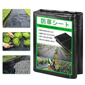 防草シート 園芸用雑草防止シート 雑草防止 除草シート 厚手 高透水性 雑草シート 高密度 園芸用 工事用 庭園用 農業用 雑草防止