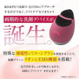 洗顔ブラシ / EMS イオン導入 イオン導出...の詳細画像2