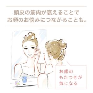 ミーゼ ブラシ 美顔器 ミーゼ スカルプリフト...の詳細画像3