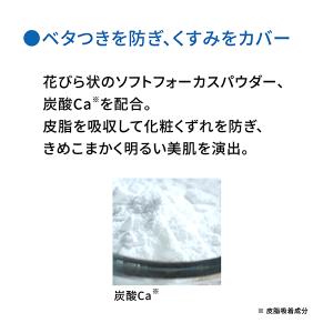 ヤーマン フェイスパウダー オンリーミネラル ...の詳細画像5