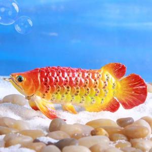 アロワナ ゴールド リアル 海洋生物 金色 熱帯魚 FRP アニマル