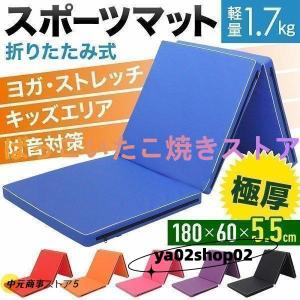 TOEI LIGHT（トーエイライト） (個人宅配送不可)(送料別) エクササイズ
