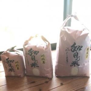 米 子育て中のママが育てた安心の和田乃米 米 2025年産 5kg プチギフト のし対応 ※お届け日...