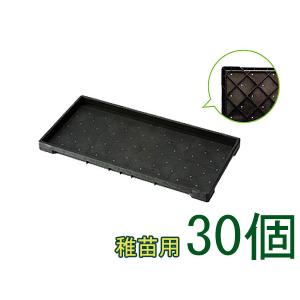 育苗 トレー トレイ 中苗用 育苗箱 水稲 1300穴 60×30×3cm 30個セット