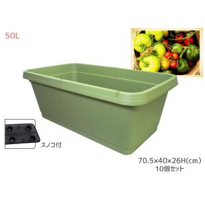 野菜 プランター 菜園 プランター 50L 710型 10個セット 70.5×40×26H(cm) 深型 鉢 グリーン スノコ付 アイカ aika 配送不可地域有 法人のみ配送 送料無料｜yabumoto1