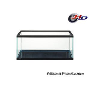 GEX（ジェックス） メダカ元気 メダカのための水槽セット400 熱帯魚