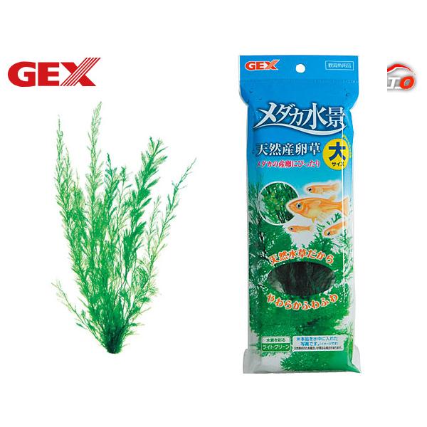 GEX メダカ水景 天然産卵草 大 熱帯魚 観賞魚用品 水槽用品 アクセサリー ジェックス