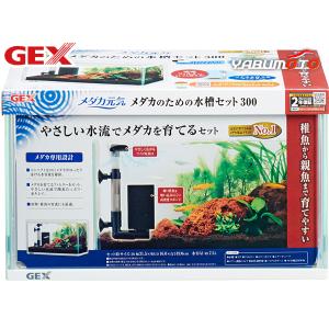 GEX メダカ元気 メダカのための水槽セット300 熱帯魚 観賞魚用品 水槽 セット水槽 ジェックス｜yabumoto25