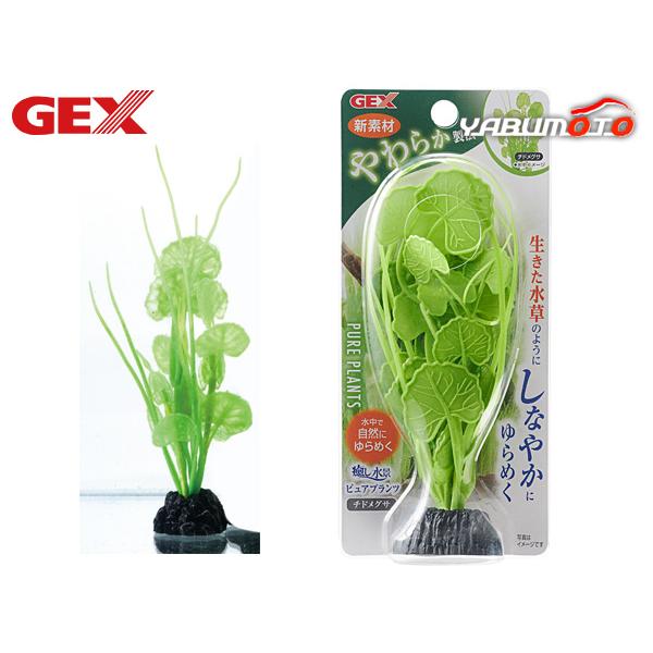 GEX 癒し水景 ピュアプランツ チドメグサ 熱帯魚 観賞魚用品 水槽用品 アクセサリー ジェックス