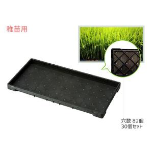 40個セット) 日本製 稚苗用育苗箱 (184穴タイプ) 水稲用 内寸580