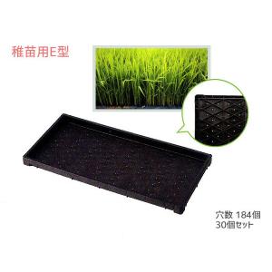 稲作用苗箱 中苗用 育苗箱 水稲用 1300穴 60×30×3cm 30個セット 黒 ブラック