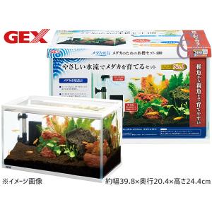 GEX メダカ元気 メダカのための水槽セット200CUBE 熱帯魚 観賞魚