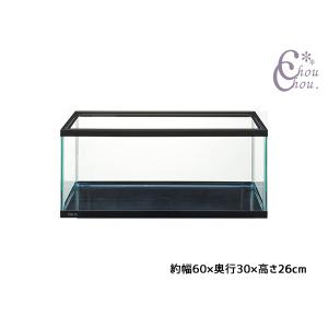 水槽　GEX 熱帯魚　メダカ Amazon | ジェックス GEX メダカ元気 メダカのための水槽セット300