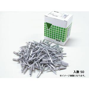 リベット 17.9mm φ4.8mm 100本入 ラージフランジ プラスチック板、FRP