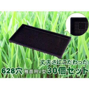 育苗 トレー トレイ 中苗用 育苗箱 水稲 1300穴 60×30×3cm 30個セット