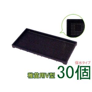 苗箱 中苗用 稲作 1300穴 60×30×3cm 30個セット 黒 アイカ aika 日本製