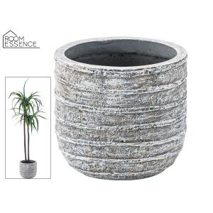 NO.441最晃閣 : 万年青・庄おもと園 - 通販 - Yahoo!ショッピング