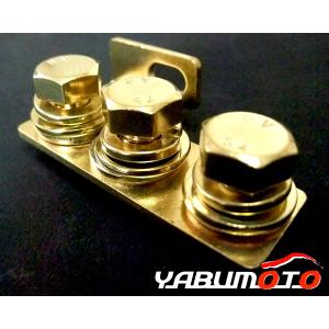 カッコよく簡単 アーシング 万能ターミナル ネコポス