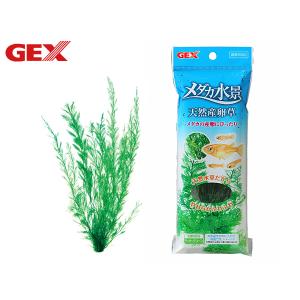 GEX メダカ水景 天然産卵草 熱帯魚 観賞魚用品 水槽用品 アクセサリー ジェックス｜yabumoto