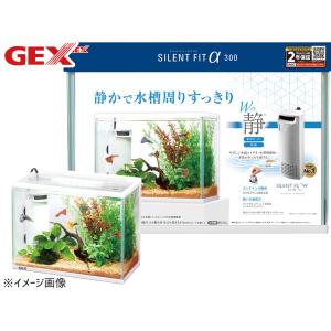 GEX サイレントフィットアルファ300 熱帯魚 観賞魚用品 水槽 セット水槽 ジェックス｜yabumoto